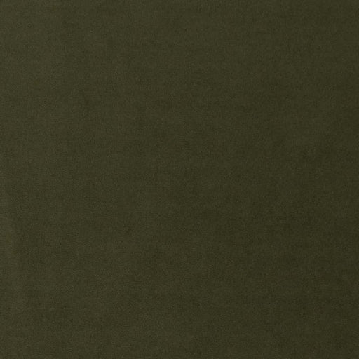 Charlotte - CB600-219 - Fabric by the Yard CB600-219