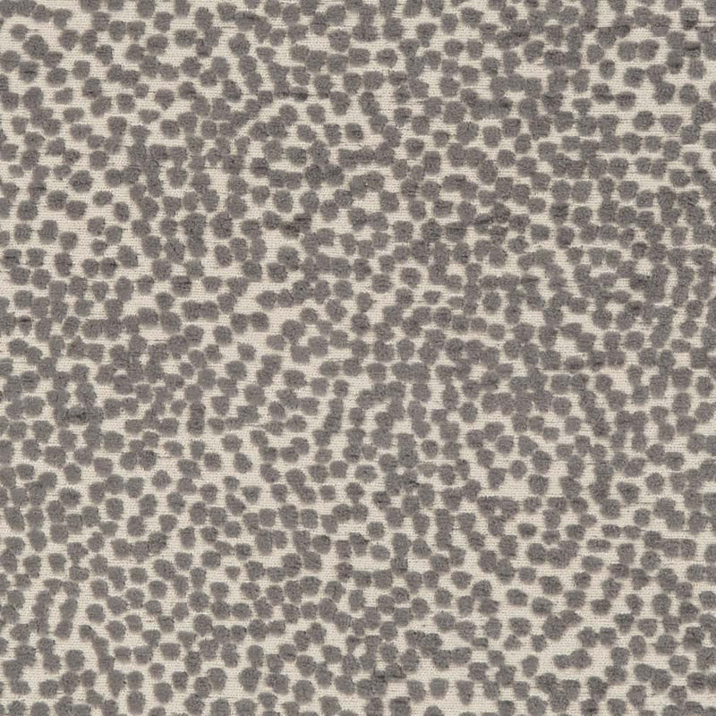 Charlotte - CB600-227 - Fabric by the Yard CB600-227