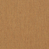 Charlotte - CB600-258 - Fabric by the Yard