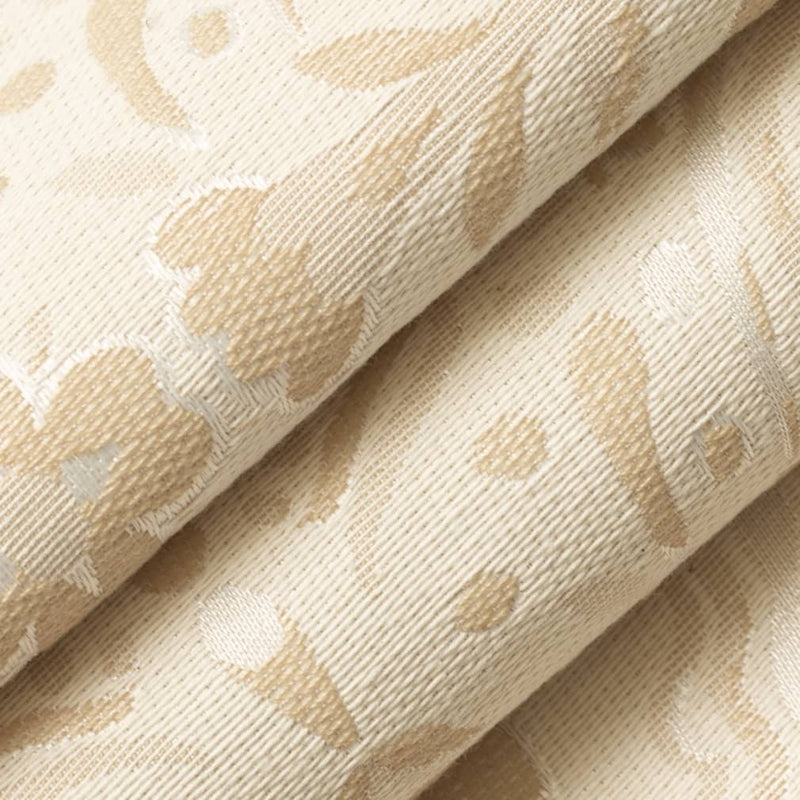 Charlotte - CB600-264 - Fabric by the Yard - CB600-264 - CB600-264_Rolled