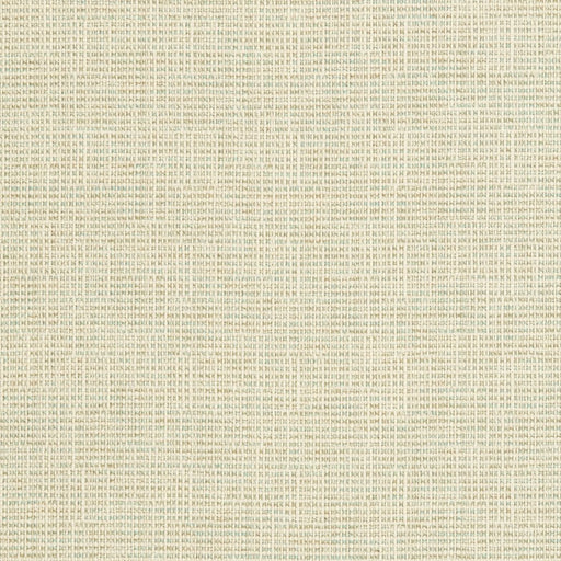 Charlotte - CB600-67 - Fabric by the Yard CB600-67