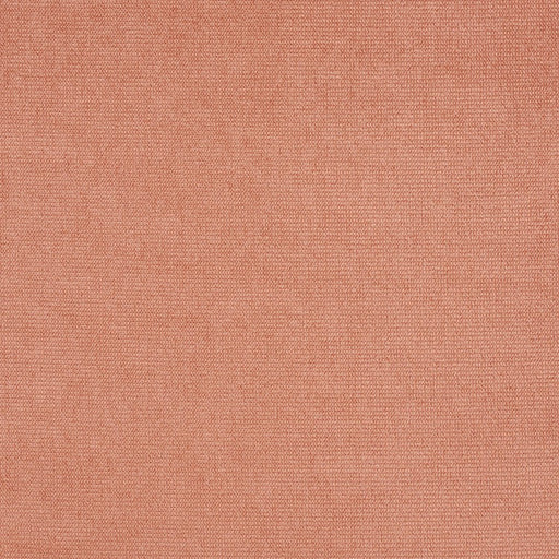 Charlotte - CB600-69 - Fabric by the Yard CB600-69