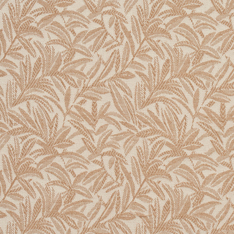 Charlotte - CB700-08 - Fabric by the Yard CB700-08