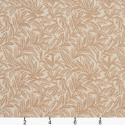 Charlotte - CB700-08 - Fabric by the Yard - CB700-08 - CB700-08_Ruler