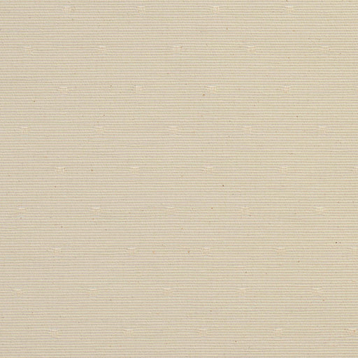 Charlotte - CB700-12 - Fabric by the Yard CB700-12