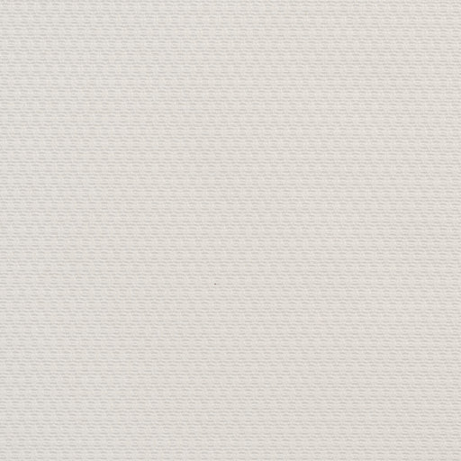 Charlotte - CB700-16 - Fabric by the Yard CB700-16