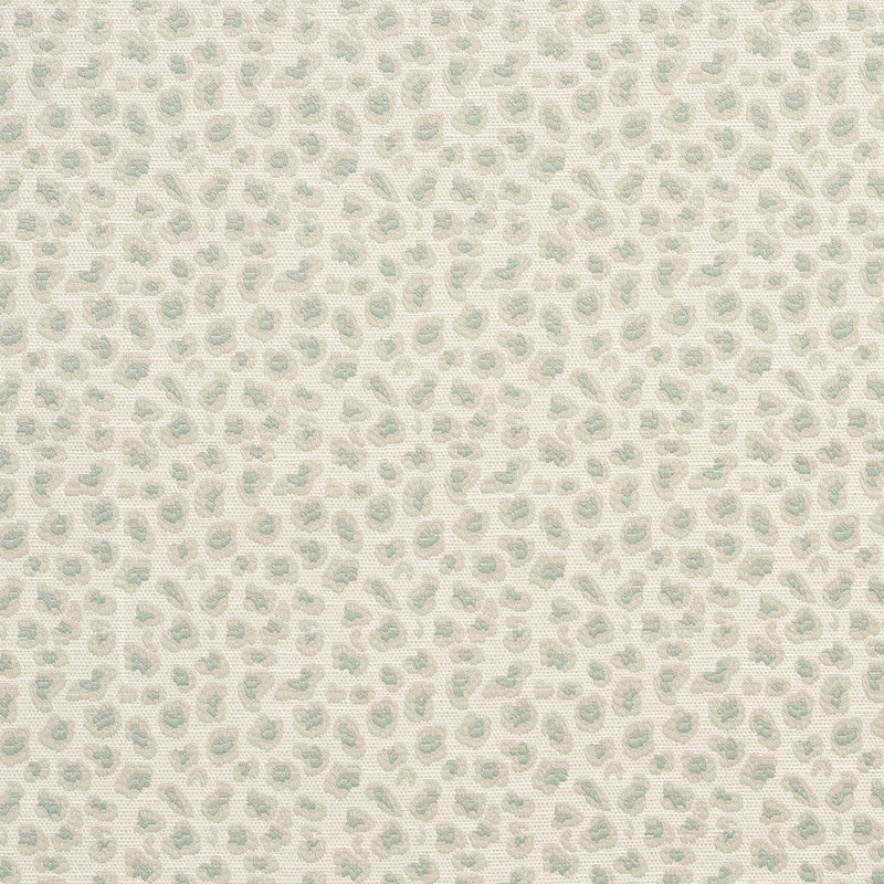 Charlotte - CB700-195 - Fabric by the Yard CB700-195