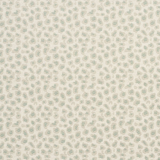 Charlotte - CB700-195 - Fabric by the Yard CB700-195