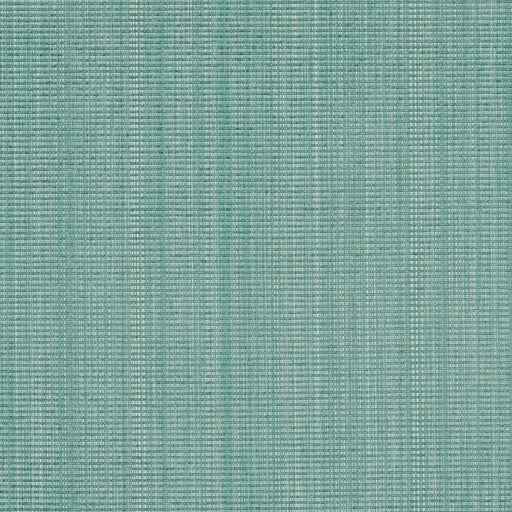 Charlotte - CB700-204 - Fabric by the Yard CB700-204
