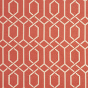 Charlotte - CB700-217 - Fabric by the Yard CB700-217