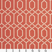 Charlotte - CB700-217 - Fabric by the Yard - CB700-217 - CB700-217_Ruler