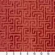 Charlotte - CB700-220 - Fabric by the Yard - CB700-220 - CB700-220_Ruler