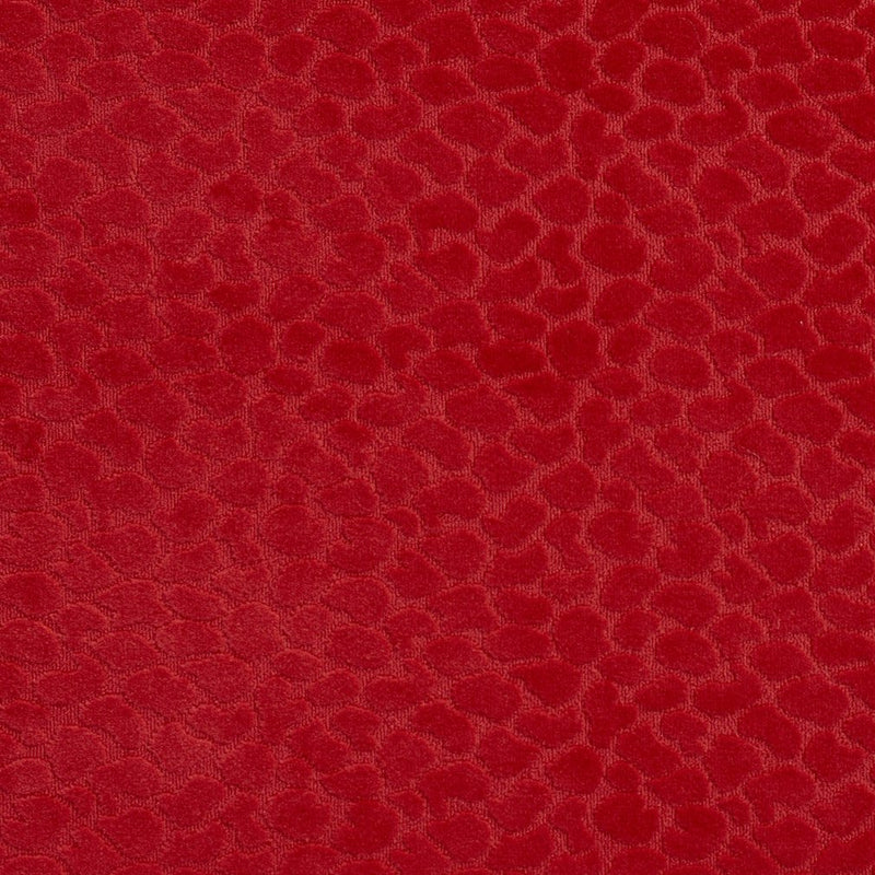 Charlotte - CB700-228 - Fabric by the Yard CB700-228