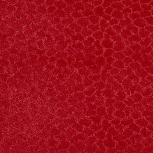 Charlotte - CB700-228 - Fabric by the Yard CB700-228