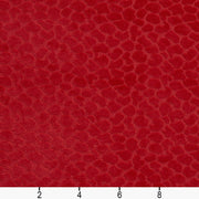 Charlotte - CB700-228 - Fabric by the Yard - CB700-228 - CB700-228_Ruler