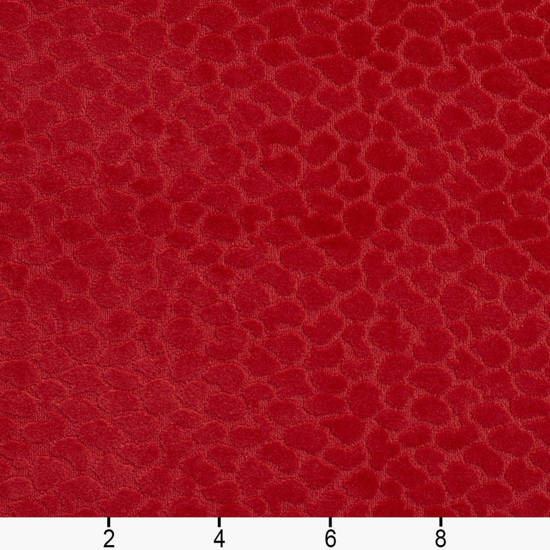 Charlotte - CB700-228 - Fabric by the Yard - CB700-228 - CB700-228_Ruler