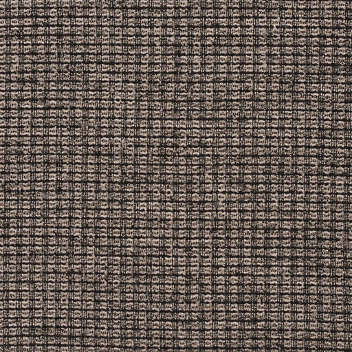 Charlotte - CB700-238 - Fabric by the Yard CB700-238