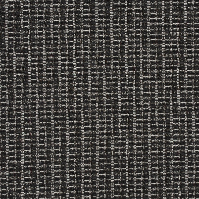Charlotte - CB700-239 - Fabric by the Yard CB700-239