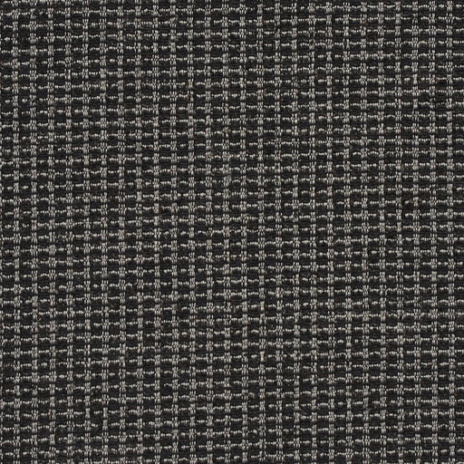 Charlotte - CB700-239 - Fabric by the Yard CB700-239