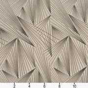 Charlotte - CB700-250 - Fabric by the Yard - CB700-250 - CB700-250_Ruler
