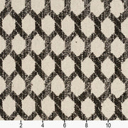 Charlotte - CB700-251 - Fabric by the Yard - CB700-251 - CB700-251_Ruler