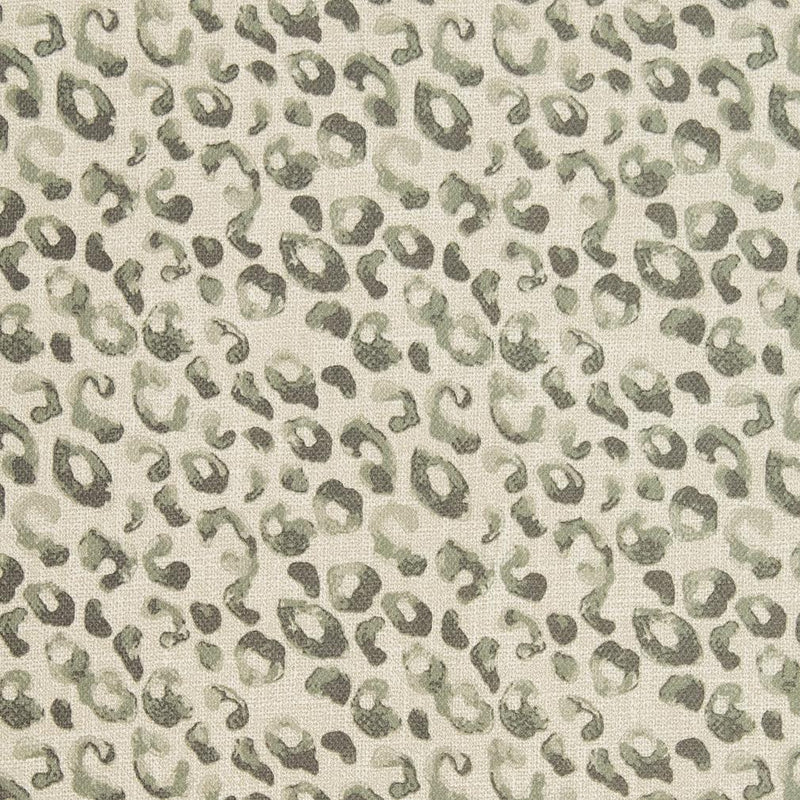 Charlotte - CB700-279 - Fabric by the Yard CB700-279
