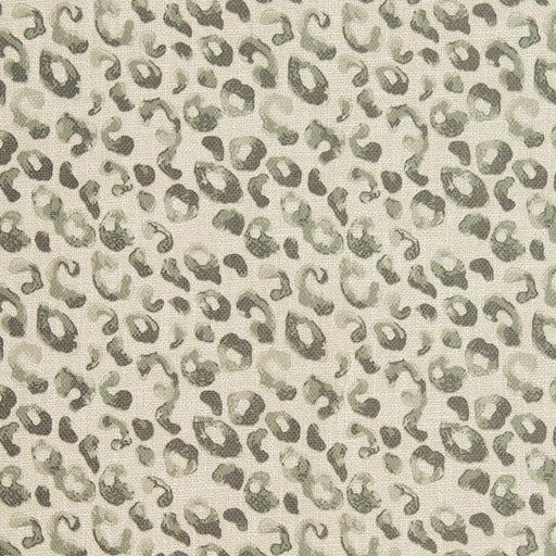 Charlotte - CB700-279 - Fabric by the Yard CB700-279