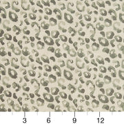 Charlotte - CB700-279 - Fabric by the Yard - CB700-279 - CB700-279_Ruler