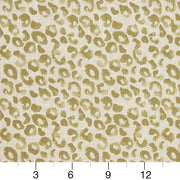 Charlotte - CB700-280 - Fabric by the Yard - CB700-280 - CB700-280_Ruler