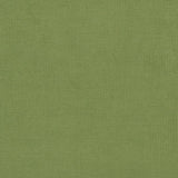 Charlotte - CB700-281 - Fabric by the Yard