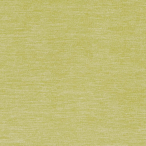 Charlotte - CB700-282 - Fabric by the Yard CB700-282