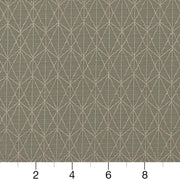 Charlotte - CB700-297 - Fabric by the Yard - CB700-297 - CB700-297_Ruler