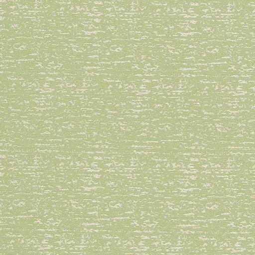 Charlotte - CB700-300 - Fabric by the Yard CB700-300