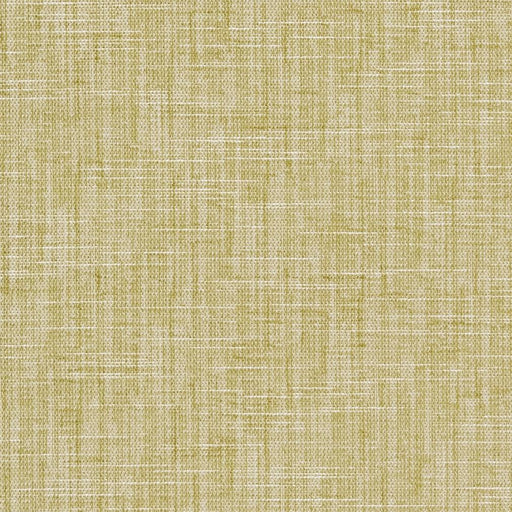 Charlotte - CB700-302 - Fabric by the Yard CB700-302