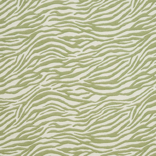 Charlotte - CB700-305 - Fabric by the Yard CB700-305