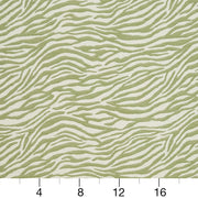 Charlotte - CB700-305 - Fabric by the Yard - CB700-305 - CB700-305_Ruler