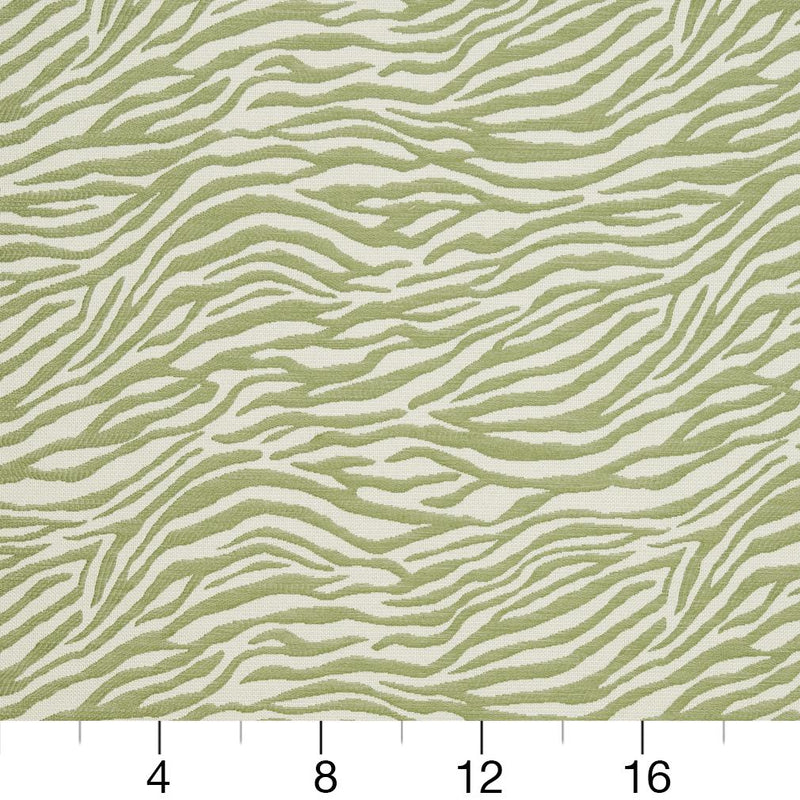 Charlotte - CB700-305 - Fabric by the Yard - CB700-305 - CB700-305_Ruler