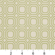 Charlotte - CB700-307 - Fabric by the Yard - CB700-307 - CB700-307_Ruler