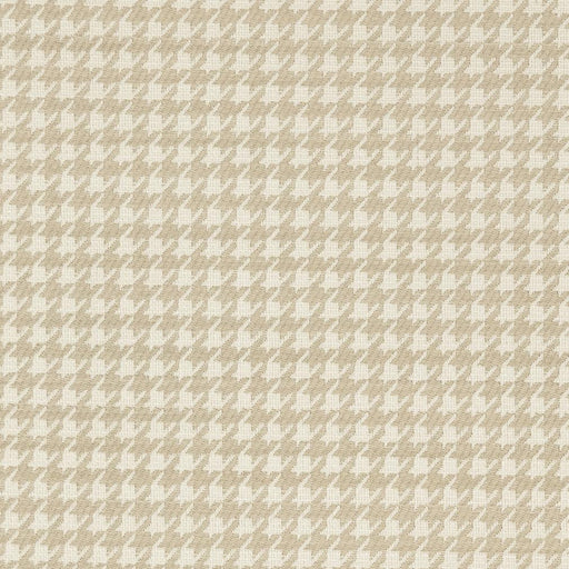 Charlotte - CB700-30 - Fabric by the Yard CB700-30
