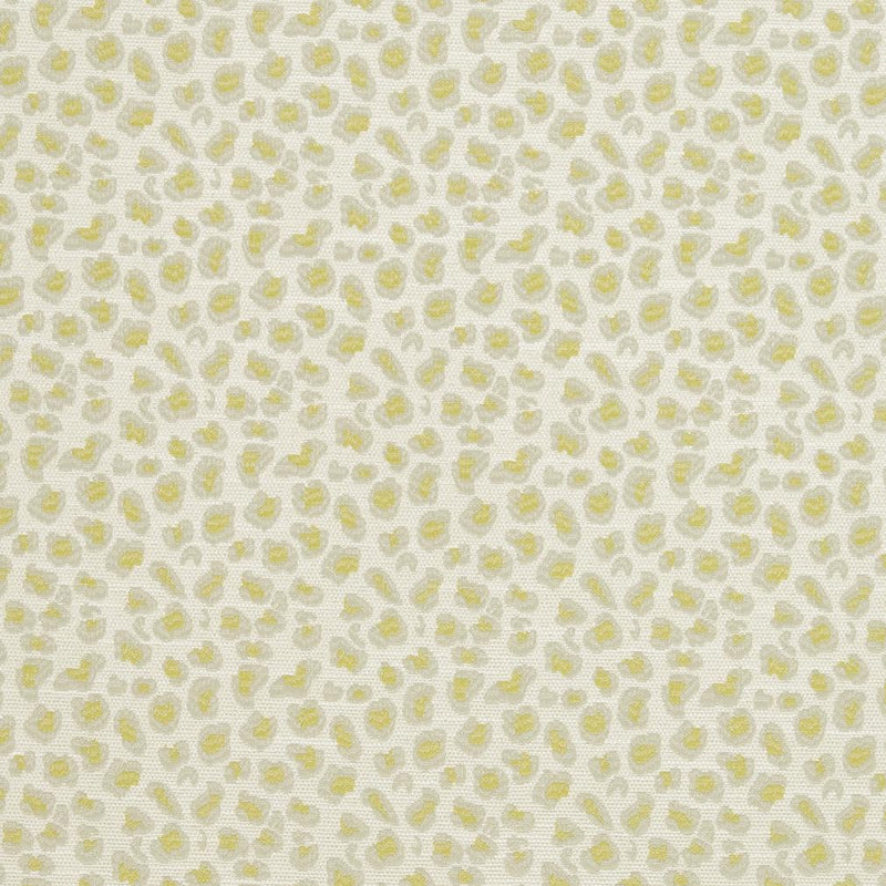 Charlotte - CB700-310 - Fabric by the Yard CB700-310