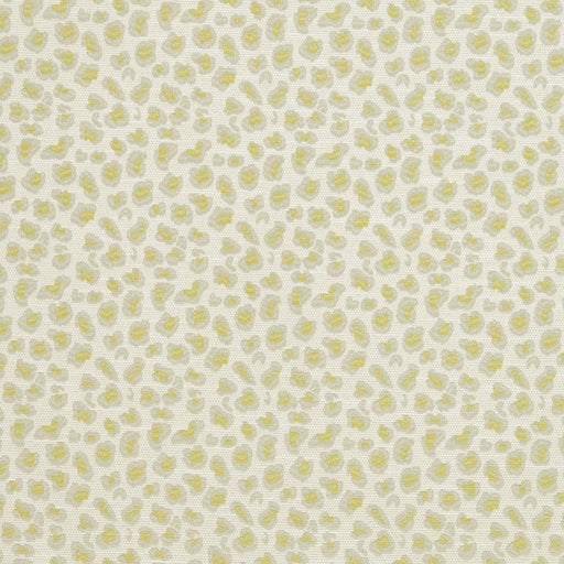 Charlotte - CB700-310 - Fabric by the Yard CB700-310
