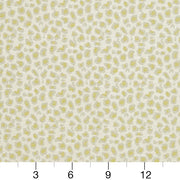 Charlotte - CB700-310 - Fabric by the Yard - CB700-310 - CB700-310_Ruler