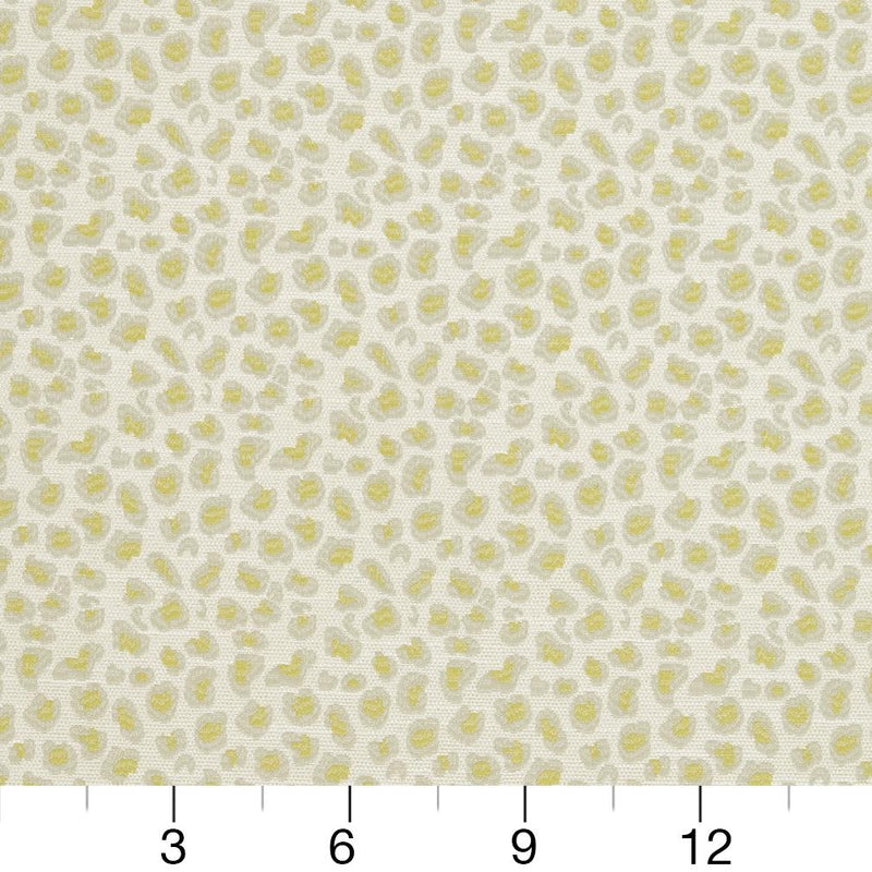Charlotte - CB700-310 - Fabric by the Yard - CB700-310 - CB700-310_Ruler