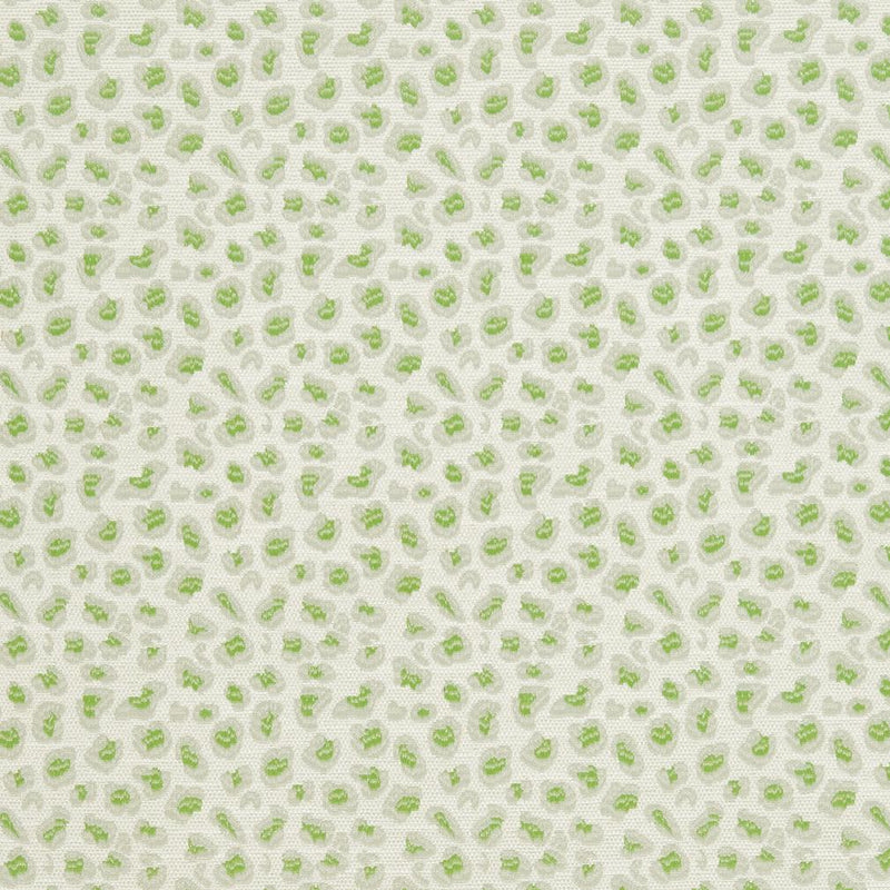 Charlotte - CB700-311 - Fabric by the Yard CB700-311