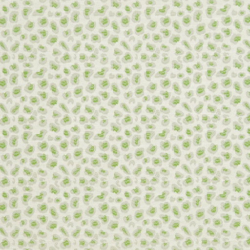 Charlotte - CB700-311 - Fabric by the Yard CB700-311