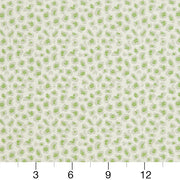 Charlotte - CB700-311 - Fabric by the Yard - CB700-311 - CB700-311_Ruler