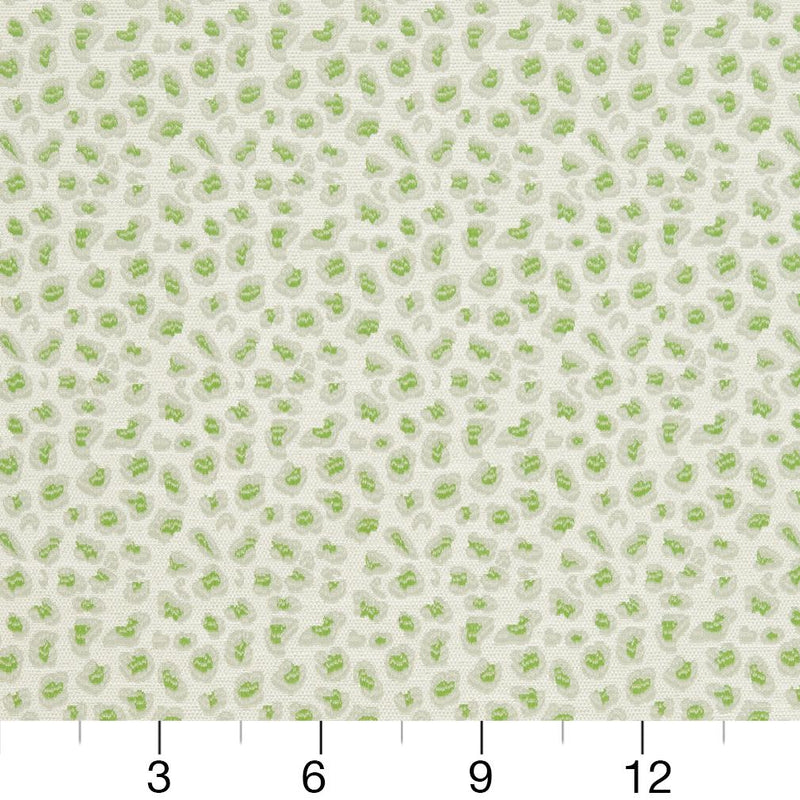 Charlotte - CB700-311 - Fabric by the Yard - CB700-311 - CB700-311_Ruler