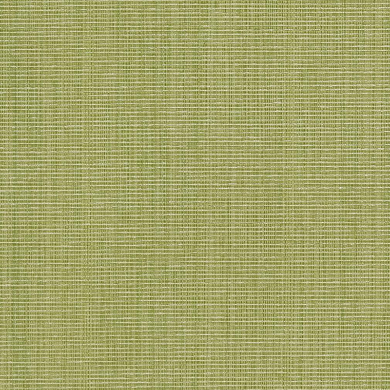 Charlotte - CB700-316 - Fabric by the Yard CB700-316