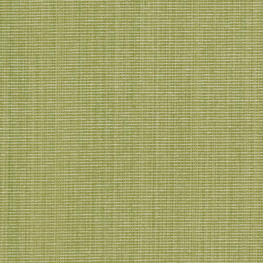 Charlotte - CB700-316 - Fabric by the Yard CB700-316