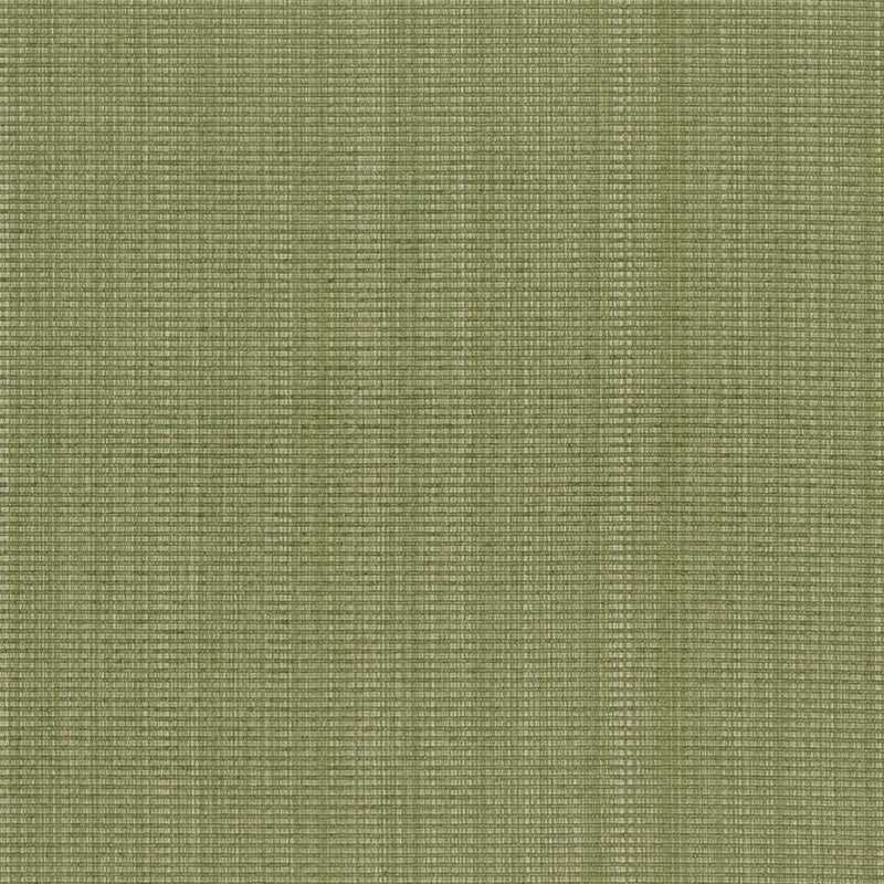 Charlotte - CB700-317 - Fabric by the Yard CB700-317